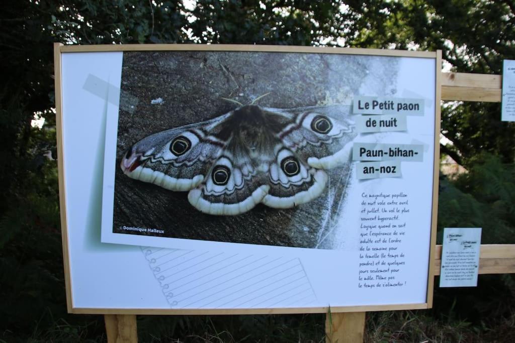 La Petite Bretonne Villa Plounerin Buitenkant foto