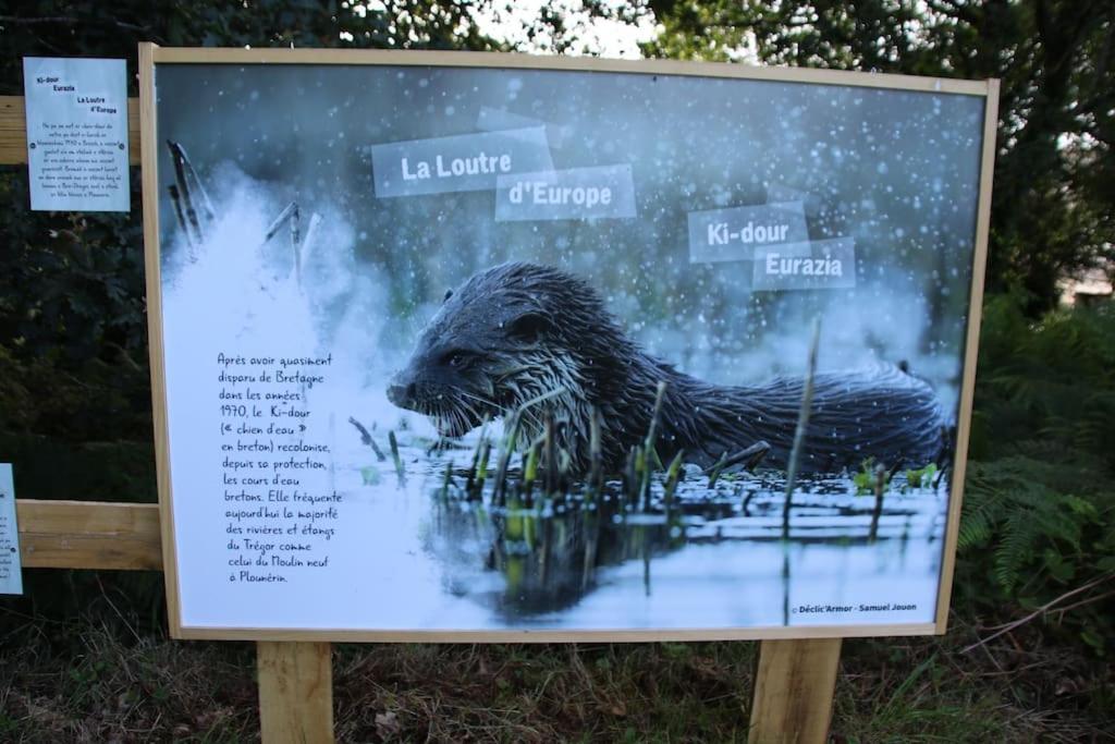 La Petite Bretonne Villa Plounerin Buitenkant foto