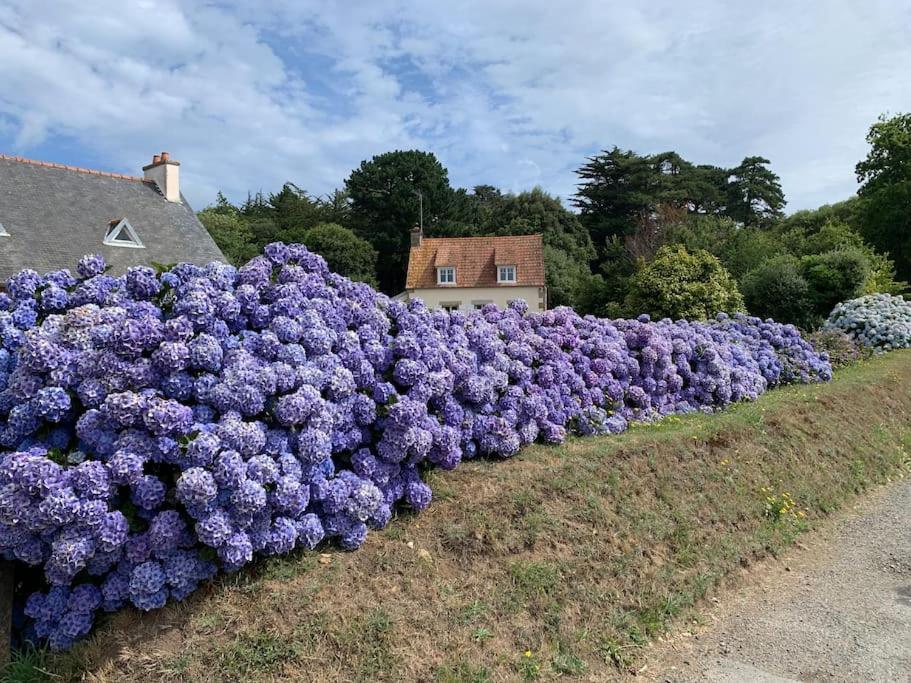 La Petite Bretonne Villa Plounerin Buitenkant foto